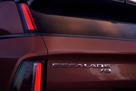 Ed Martin Cadillac in ANDERSON IN