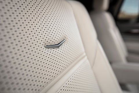 Ed Martin Cadillac in ANDERSON IN