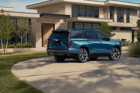 Ed Martin Cadillac in ANDERSON IN