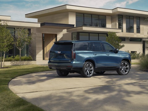 Ed Martin Cadillac in ANDERSON IN