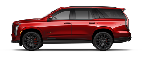 Ed Martin Cadillac in ANDERSON IN